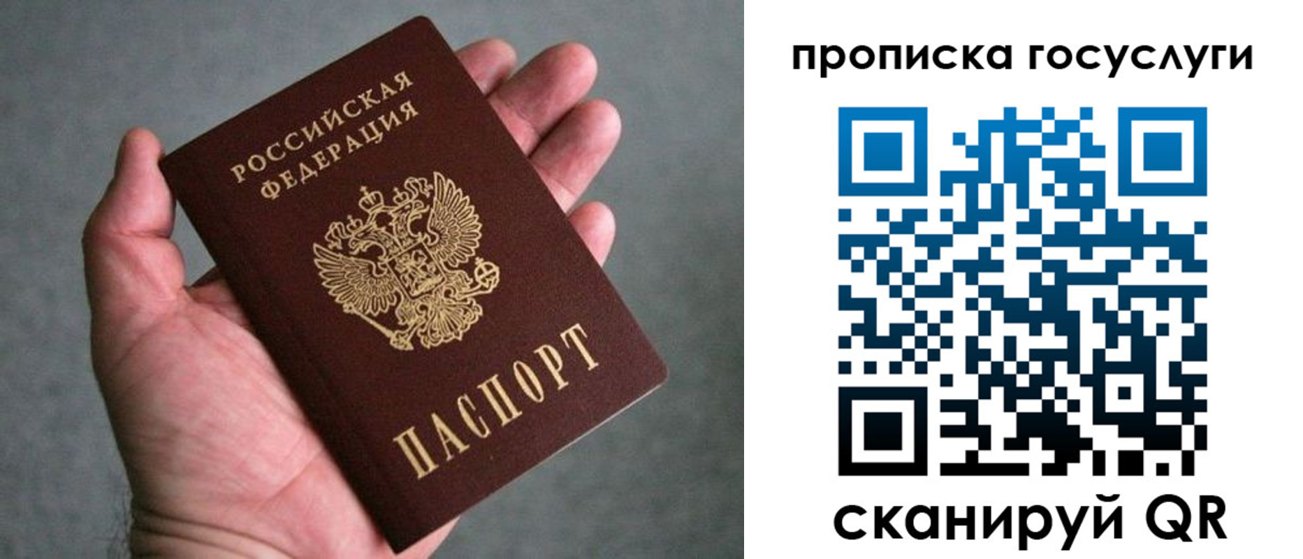 прописка 2025 в Богородске